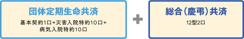 団体定期生命共済 基本契約1口-災害入院特約10口-病気入院特約10口＋総合（慶弔）共済 12型2口