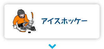 アイスホッケー