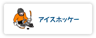 アイスホッケー